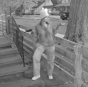 Women's Bella Dahl Grey Denim Mid Button Down Lyocell Shirt S 🇺🇸 Made